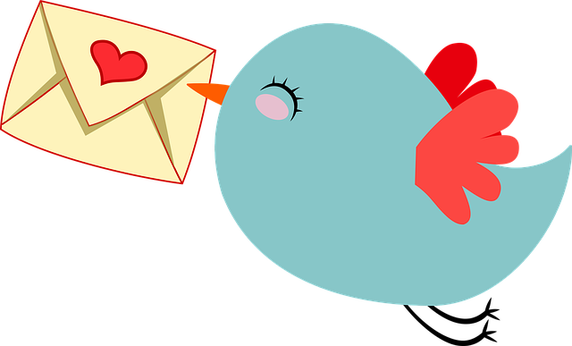 An image depicting two separate email inboxes side by side, one filled with transactional emails like order confirmations and receipts, and the other with marketing emails showcasing promotional offers and newsletters